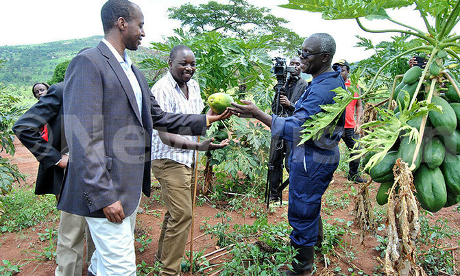 Trouw Nutrition joins Harvest money expo Trouw Nutrition joins Harvest money expo