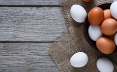 US egg values jump as bird flu impacts supplies