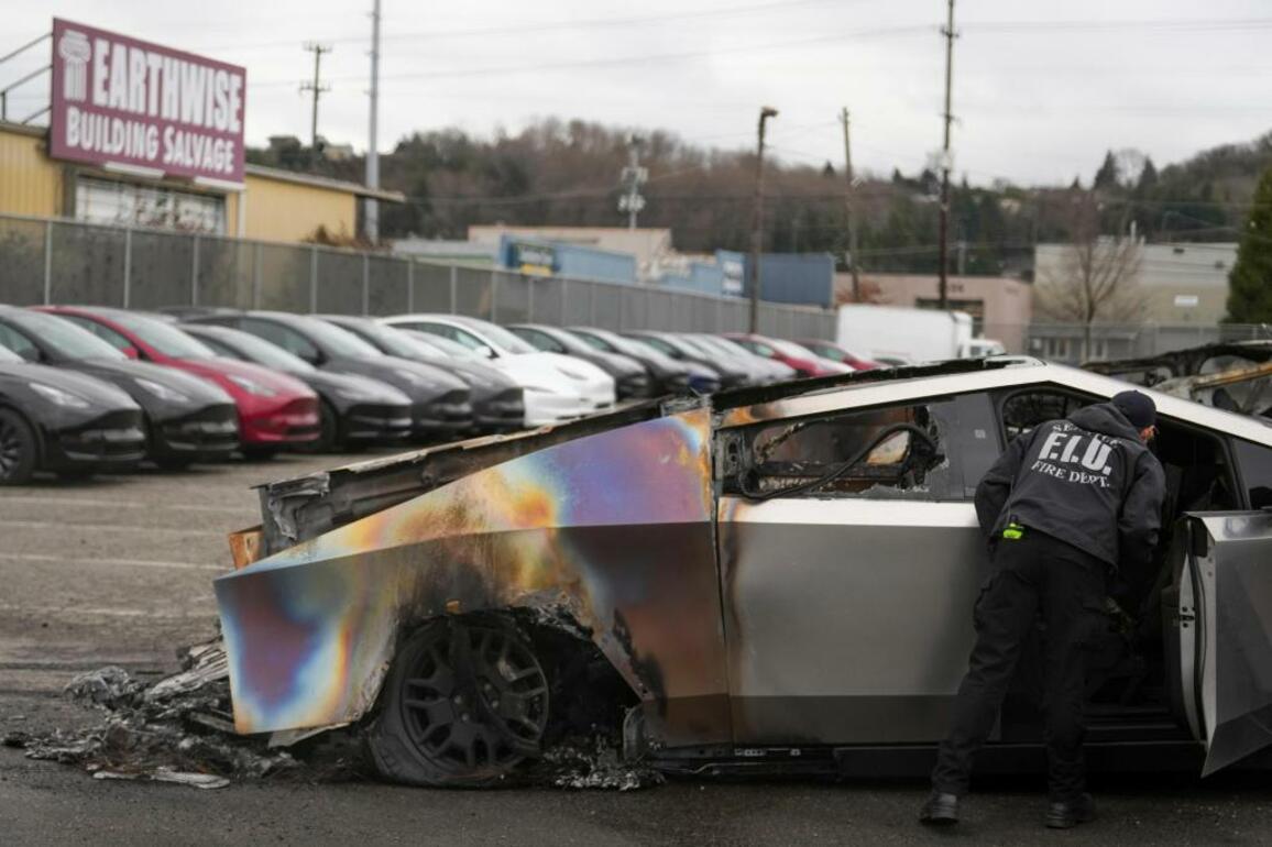 Tesla owners are not your enemies - don't punish them for Elon Musk's actions (Letters)