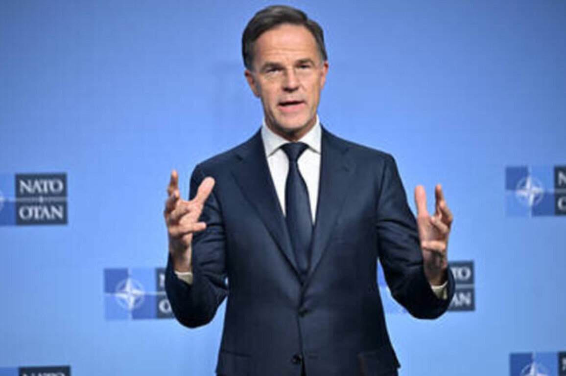 NATO chief urges West to prepare for long-term confrontation with Russia