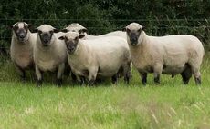 Farming issues top of voters agenda in North Shropshire by-election