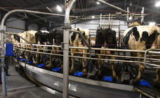 Investment in 80-point rotary parlour at Carmarthenshire dairy farm 