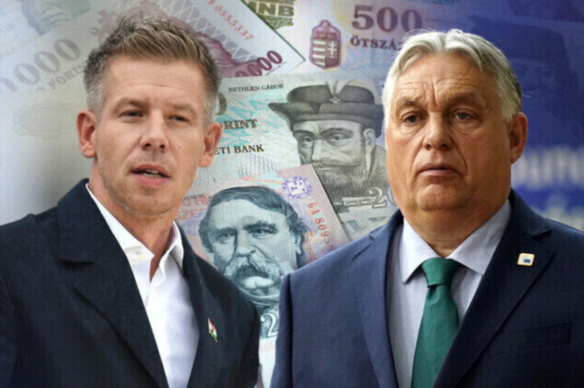 Battle for Hungary: Does Orbanomics need fixing