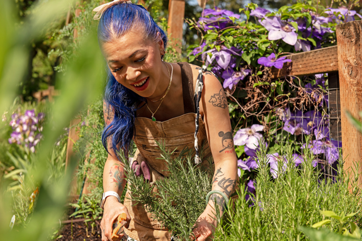 Q&amp;A- Thuy Pham of Mama t Talks Gardening, Community, and Food Sovereignty  Mercury