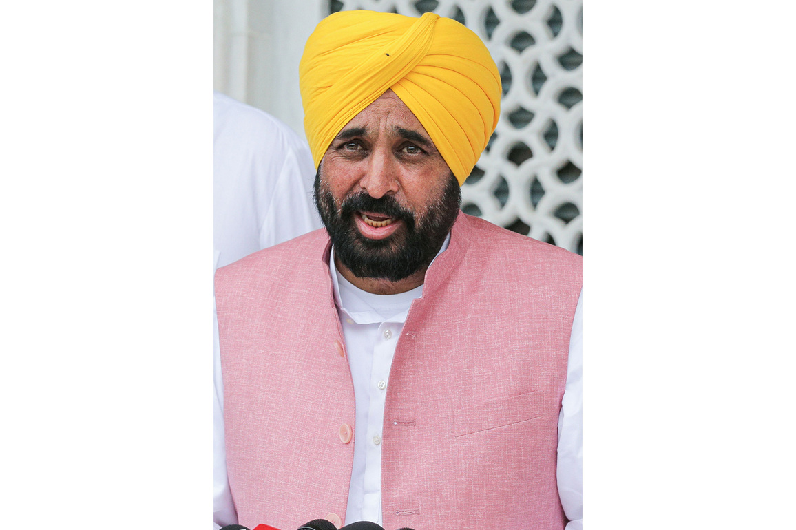 Punjab CM Mann holds virtual meeting with eminent NRIs, seeks support for Mission Chardikala