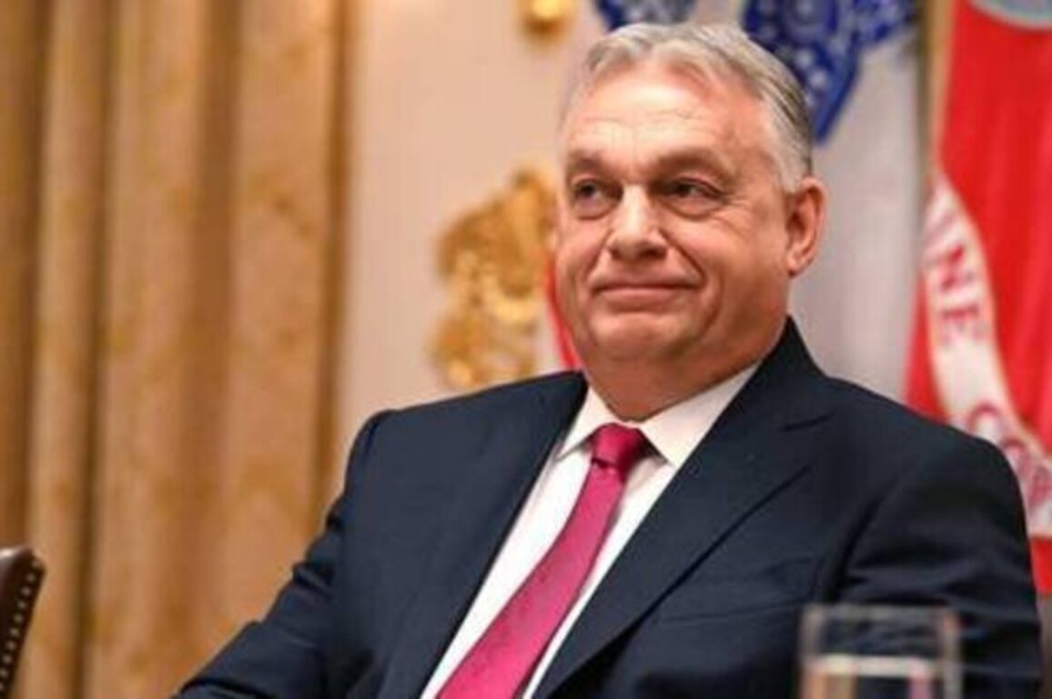 Hungary's Orban arrives in Moscow: Live Updates