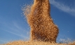 Australian grain growers excel in water use efficiency