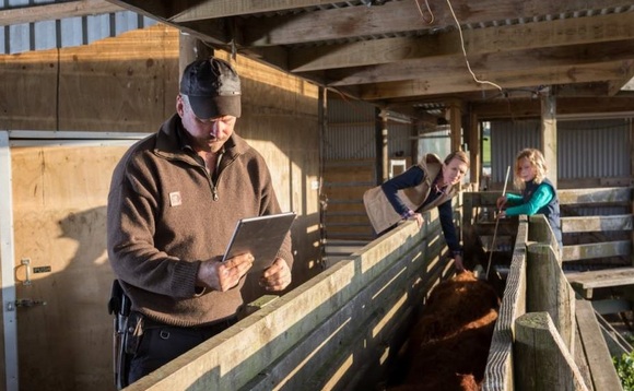 Forging ahead with automated feeder wagons