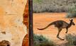  Canguru salta no Outback australiano