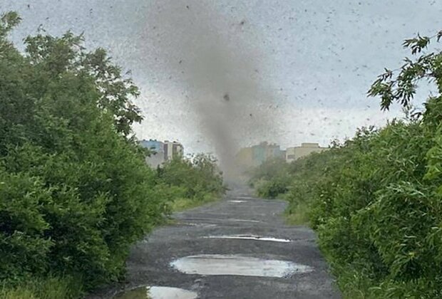 Mosquito &#039;Tornadoes&#039; Photographed In Russia&#039;s Far East