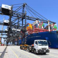 Hong Kong leverages maritime strengths to bolster global shipping's green shift