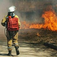 'I was in a semi-breaking-down sort of place': new study sheds light on the emotional toll for emergency volunteers