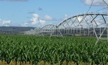 Murray-Darling water sold back to farmers