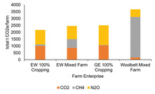 Pathways to carbon neutrality in the West