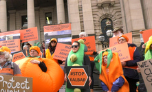 Locals took their fight all the way to Victoria's parliament.