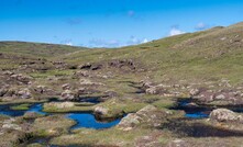  Alternative foundation methods, including timber piles, are being explored to allow peatland to be retained when new housing is built in rural and remote Scottish locations