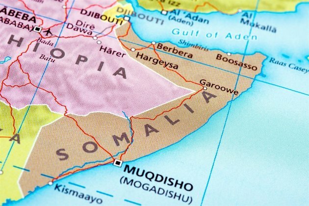 CIA officer killed Somalia: US media