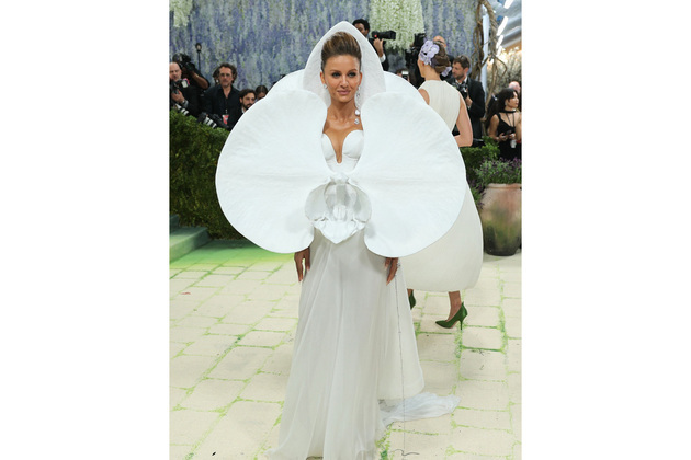 Met Gala 2026: Natasha Poonawalla embraces art-inspired fashion in striking floral look