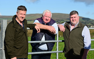 Genetics key to success for North Ireland pedigree beef herd