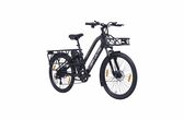 Hero Lectro's introduces a new cargo e-cycle for last-mile delivery segment 