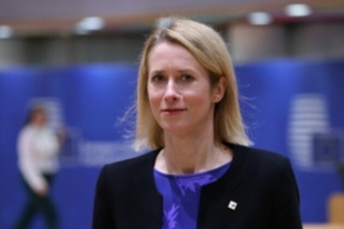 Kallas says Russia expands meddling in Armenia