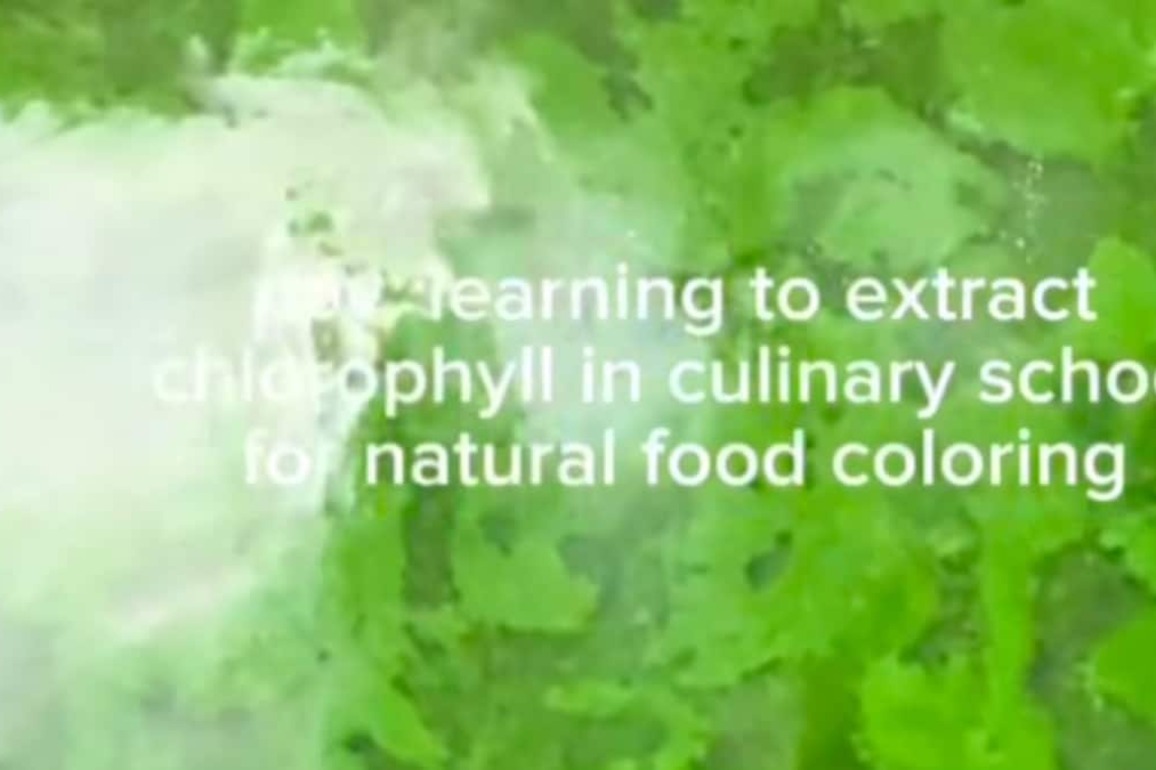 DIY Chlorophyll- This Video On Natural Food Colouring Has Everyones Attention  Food