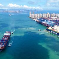 China's foreign trade firms up on robust July performance