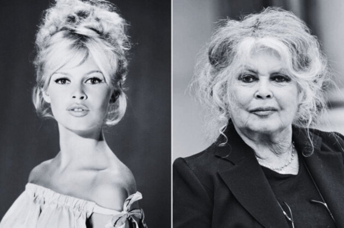 French Cinema Legend Brigitte Bardot Passes Away at the Age of 91