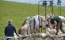 Service to connect contractors with UK shearers now live