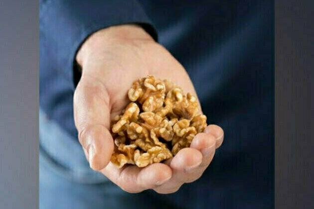 Study suggests Walnuts are bridge to better health as we age