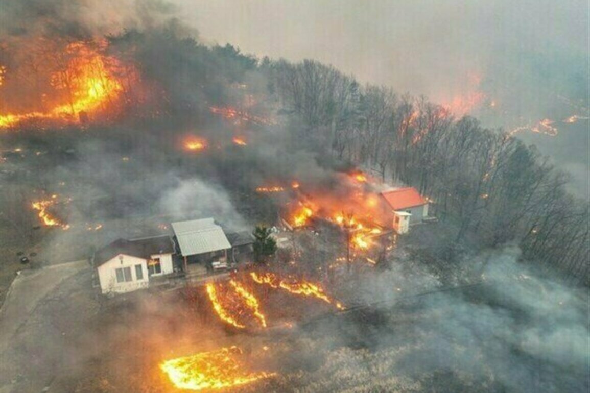 South Korea Struggles to Contain Deadly Wildfires
