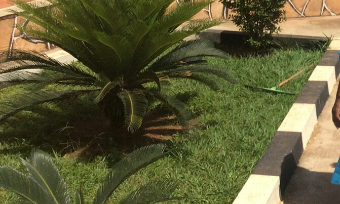 How to design edges of a garden How to design edges of a garden
