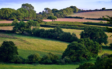 Agroforestry hailed as 'growth industry' for farmers