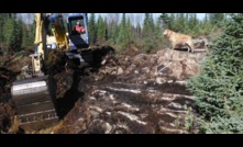  A 2014 trenching programme at Northern Superior Resources’ Lac Surprise project in Quebec