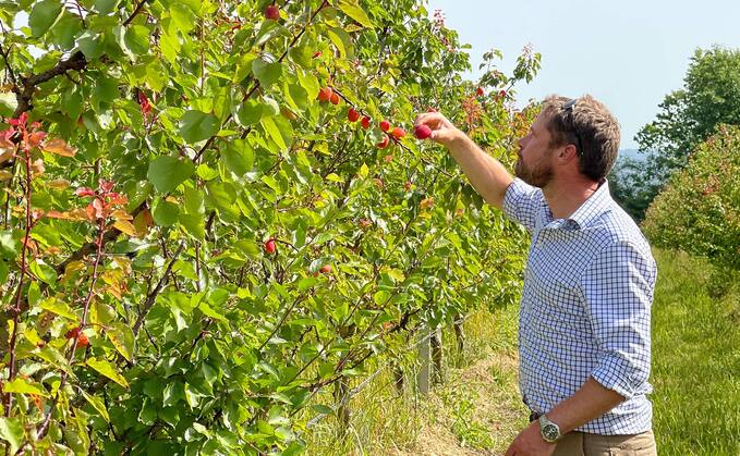 Farming With Nature: How regen reignited one grower's love for farming