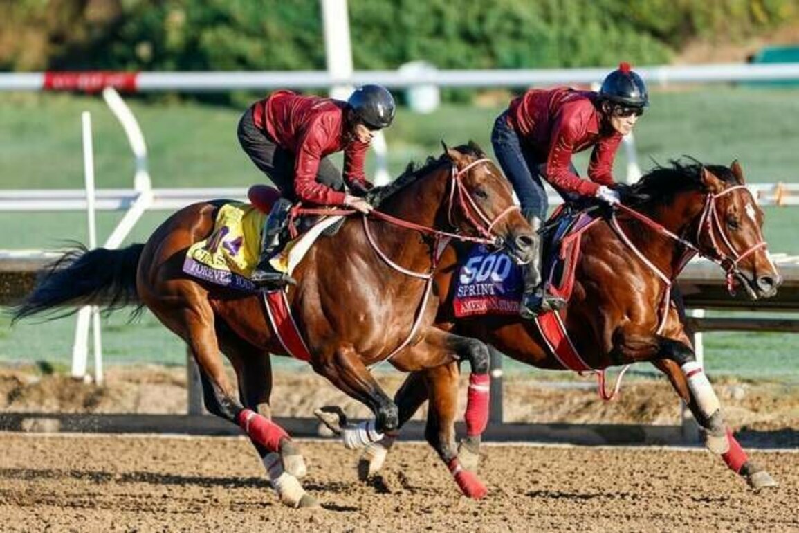 Forever Young forges Breeders' Cup history with win in $7 million Classic