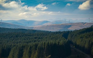 Hydrogen fuel - Farming without fossils?