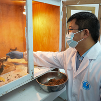ChineseToday | Young guardians of rare birds