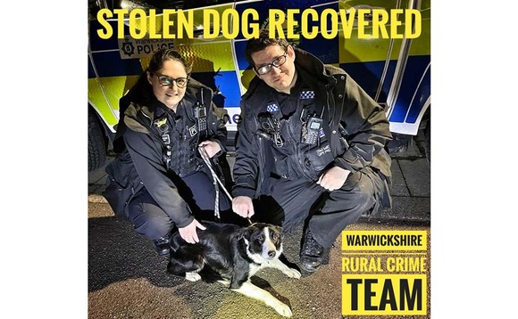 Stolen sheepdog reunited with farmer following 'borderless' police investigation