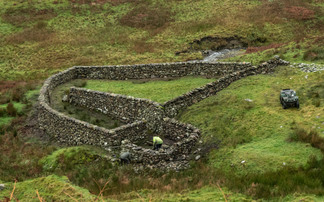 Historic sheep pen restored to former glory in the Yorkshire Dales