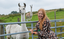 From livestock to llamas: How farm diversification turned a Lancashire enterprise into a £1m success