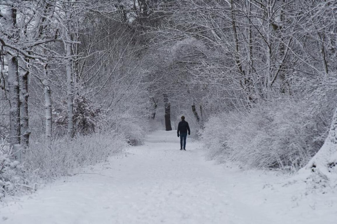 Winter storm disrupts Dutch air, rail and road traffic