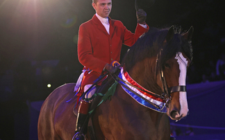 Heavy horses shine at HOYS