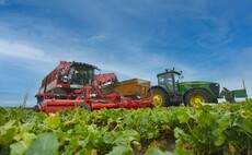 Hopes for sugar beet yields as trial and commercial crops perform well