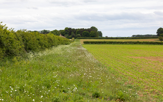 Over 650 farms assessed to provide new environmental baseline