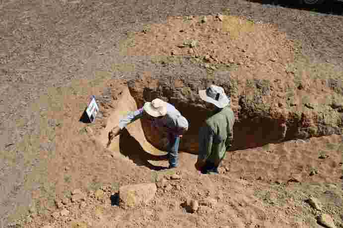 A new DPIRD led collaboration with grower groups will work with landholders to reduce the risk of wind erosion on properties with sandy soils.