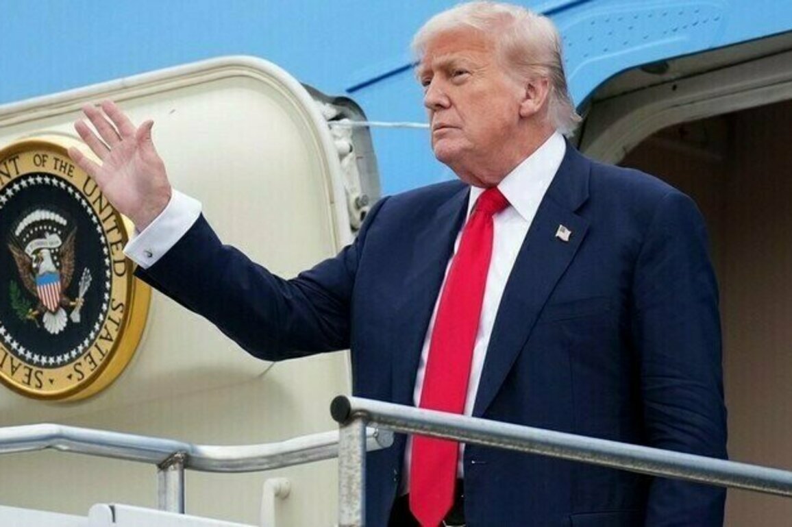 Putin doesnt need to meet Zelensky for Russia-US summit  Trump