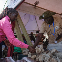 KENYA-BARINGO-WORLD WILDLIFE DAY