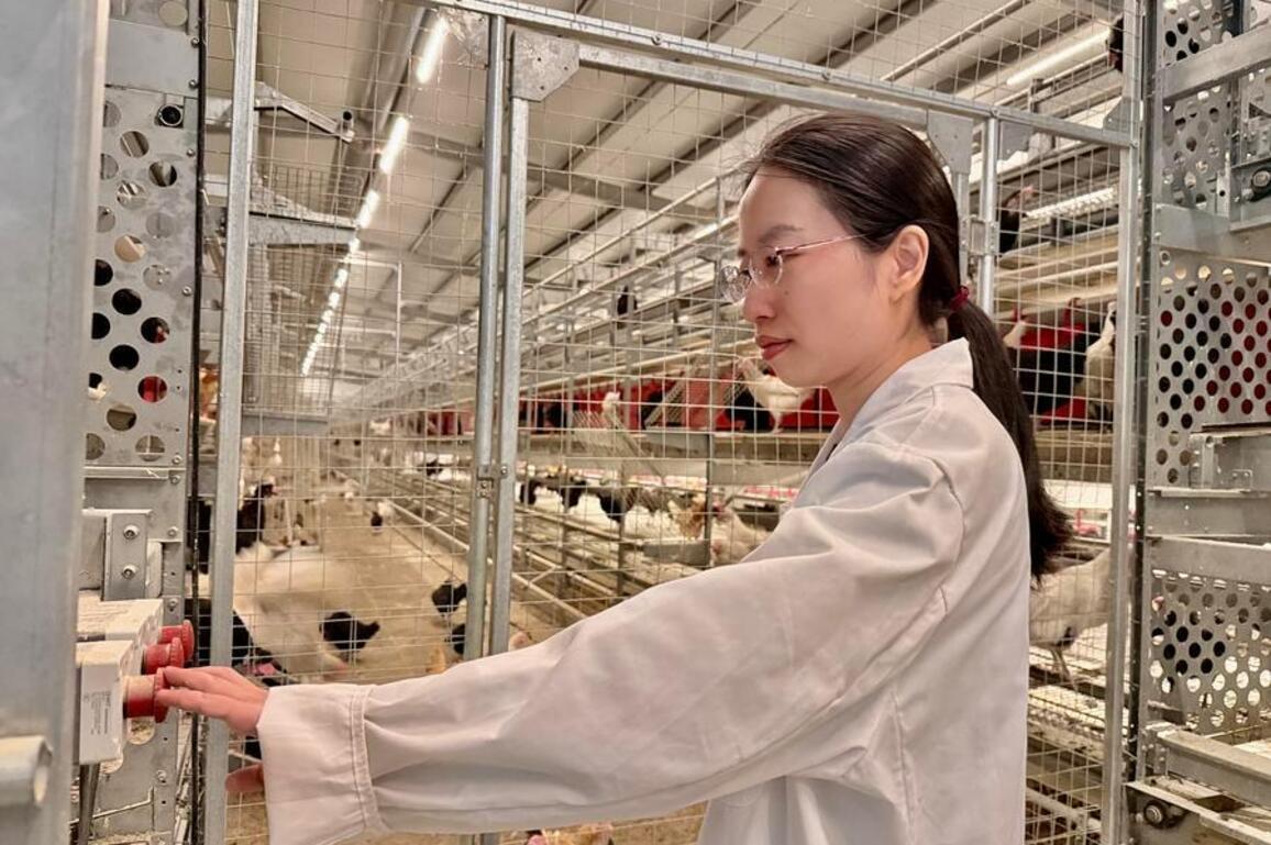 High-quality development drives surge in returnee startups in China
