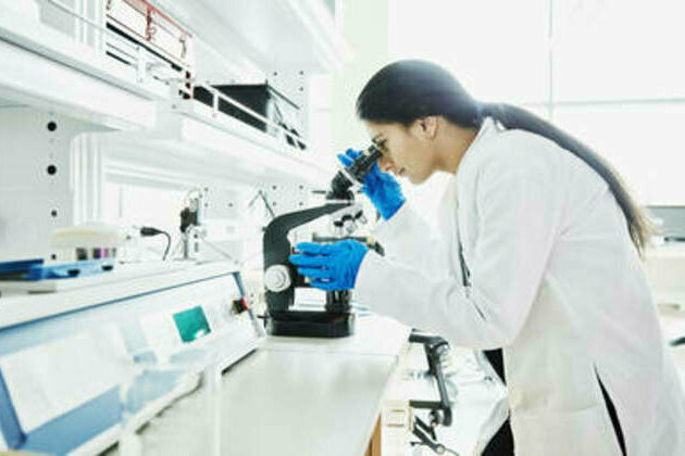 US scientists axe 'woke' to keep cash flowing - WSJ